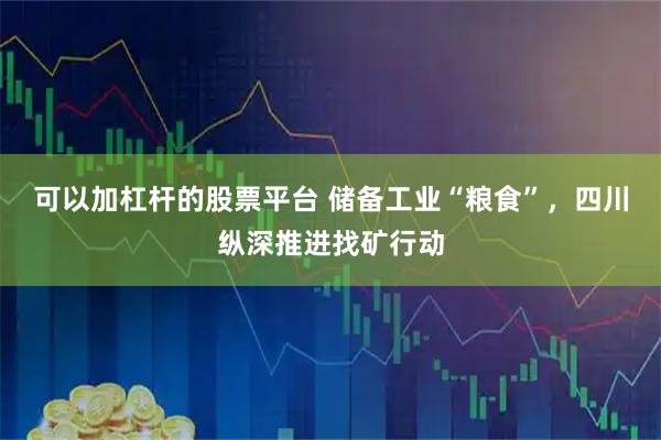 可以加杠杆的股票平台 储备工业“粮食”，四川纵深推进找矿行动