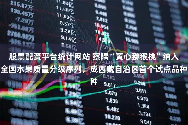 股票配资平台统计网站 察隅“黄心猕猴桃”纳入全国水果质量分级序列，成西藏自治区首个试点品种