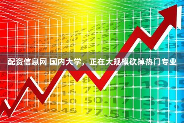 配资信息网 国内大学，正在大规模砍掉热门专业